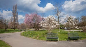 De lente bij het oosten van München van het stadspark stock fotografie De lente bij het oosten van München van het stadspark stock fotografie