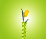 De lente van het metaal stock foto De lente van het metaal stock foto