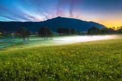 De lentelandschap met een Weide van Gele die Boterbloemen, Bomen in Mist en Berg bij Schemering worden behandeld stock afbeeldingen De lentelandschap met een Weide van Gele die Boterbloemen, Bomen in Mist en Berg bij Schemering worden behandeld stock afbeeldingen