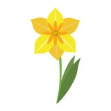 De lentetijd van de narcissenbloem royalty-vrije illustratie De lentetijd van de narcissenbloem royalty-vrije illustratie