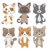 De leuke van de kattenrassen van de beeldverhaalstijl binnenlandse inzameling van de de tekeningen vectorillustratie vector illustratie De leuke van de kattenrassen van de beeldverhaalstijl binnenlandse inzameling van de de tekeningen vectorillustratie vector illustratie