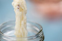 De lintworm is een zoetwatervissenparasiet onder de microscoop voor onderwijs stock afbeelding De lintworm is een zoetwatervissenparasiet onder de microscoop voor onderwijs stock afbeelding
