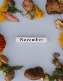 De maand van November met de giften van de herfst stock afbeelding De maand van November met de giften van de herfst stock afbeelding