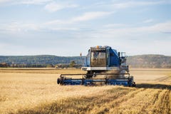 De machine van de maaidorserlandbouw het oogsten gouden rijp tarwegebied stock afbeelding De machine van de maaidorserlandbouw het oogsten gouden rijp tarwegebied stock afbeelding
