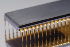 De macro van de spaander stock afbeelding De macro van de spaander stock afbeelding