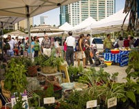 De Markt Honolulu, Oahu Hawaï van landbouwers stock afbeelding De Markt Honolulu, Oahu Hawaï van landbouwers stock afbeelding