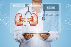 De medische arbeider controleert de gezondheid van de nieren van de patiënt royalty-vrije stock afbeelding De medische arbeider controleert de gezondheid van de nieren van de patiënt royalty-vrije stock afbeelding