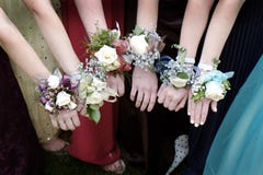 De Meisjes Mooie Kleding van Promcorsages royalty-vrije stock foto's De Meisjes Mooie Kleding van Promcorsages royalty-vrije stock foto's