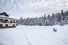 De mening van het de winterlandschap met pijnboombos royalty-vrije stock afbeelding De mening van het de winterlandschap met pijnboombos royalty-vrije stock afbeelding