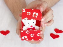 De mens doet een voorstel Teddybeer in een rode doos met harten als gift royalty-vrije stock afbeelding De mens doet een voorstel Teddybeer in een rode doos met harten als gift royalty-vrije stock afbeelding