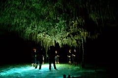 De mensen in cenote hollen met ondergronds watersysteem uit bij secreto van Rio, Mexico royalty-vrije stock fotografie De mensen in cenote hollen met ondergronds watersysteem uit bij secreto van Rio, Mexico royalty-vrije stock fotografie