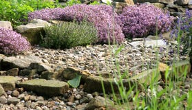 De milieuvriendelijke tuin van het land royalty-vrije stock fotografie De milieuvriendelijke tuin van het land royalty-vrije stock fotografie