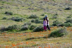 De Moeder en de Dochter van Latina voor de Papavergebied van woestijncalifornië op weg met oranje en gele bloemen royalty-vrije stock fotografie De Moeder en de Dochter van Latina voor de Papavergebied van woestijncalifornië op weg met oranje en gele bloemen royalty-vrije stock fotografie