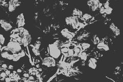 De mooie boomvogel en van de bloemenkunst schilderijen kleuren de witte en zwarte achtergrond en het behang van het illustratiepa royalty-vrije illustratie De mooie boomvogel en van de bloemenkunst schilderijen kleuren de witte en zwarte achtergrond en het behang van het illustratiepa royalty-vrije illustratie