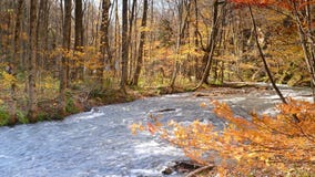 De mooie rivier die van de Oirasekloof het de herfstseizoen, Japan druing stock videobeelden De mooie rivier die van de Oirasekloof het de herfstseizoen, Japan druing stock videobeelden