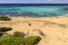 De mooiste stranden van Italië: Het park van het Campomarinoduin royalty-vrije stock foto De mooiste stranden van Italië: Het park van het Campomarinoduin royalty-vrije stock foto