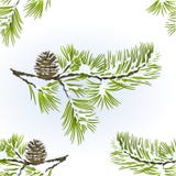 De naadloze boom van de textuurpijnboom en de winter sneeuw natuurlijke van de achtergrond denneappeltak editable vitage vectoril stock illustratie De naadloze boom van de textuurpijnboom en de winter sneeuw natuurlijke van de achtergrond denneappeltak editable vitage vectoril stock illustratie