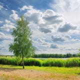 De natuurlijke toneelaard van de landschapszomer met boom op groene kust van meer tegen bewolkte blauwe hemel Royalty-vrije Stock Foto's De natuurlijke toneelaard van de landschapszomer met boom op groene kust van meer tegen bewolkte blauwe hemel Royalty-vrije Stock Foto's