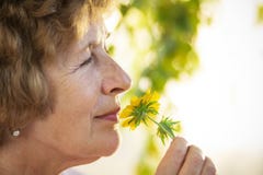 De oma ruikt een gele bloem stock afbeeldingen De oma ruikt een gele bloem stock afbeeldingen