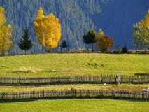 De omheining van de de kleurenherfst van het bomengebladerte royalty-vrije stock foto De omheining van de de kleurenherfst van het bomengebladerte royalty-vrije stock foto