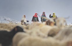 De oudsten van het dorp beklimmen in gevaarlijke gebieden om verloren naar huis te brengen yaks stock afbeelding De oudsten van het dorp beklimmen in gevaarlijke gebieden om verloren naar huis te brengen yaks stock afbeelding