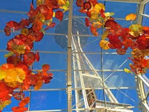 De Overwelfde galerij van het Chihulyglas over de Ruimtenaald van Seattle royalty-vrije stock foto De Overwelfde galerij van het Chihulyglas over de Ruimtenaald van Seattle royalty-vrije stock foto