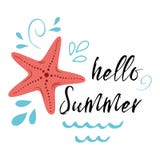 De overzeese affiche met overzeese stervissen drukt Hello-de zomer, golf, seastar Vector typografisch banner inspirational citaat royalty-vrije illustratie De overzeese affiche met overzeese stervissen drukt Hello-de zomer, golf, seastar Vector typografisch banner inspirational citaat royalty-vrije illustratie