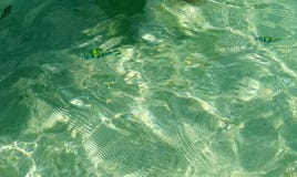 De overzeese oppervlakte luchtmening van groen turkoois gegolft zeewater wijst op licht en clownfish op strand ondiep water voor royalty-vrije stock foto's De overzeese oppervlakte luchtmening van groen turkoois gegolft zeewater wijst op licht en clownfish op strand ondiep water voor royalty-vrije stock foto's