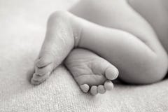 De pasgeboren naakte leugens van de babyjongen stock afbeeldingen De pasgeboren naakte leugens van de babyjongen stock afbeeldingen