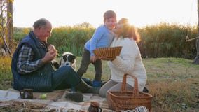 De picknick op zonsondergangachtergrond, jongen kust grootouderzitting op plaid met mand dichtbij hond en egel stock video De picknick op zonsondergangachtergrond, jongen kust grootouderzitting op plaid met mand dichtbij hond en egel stock video