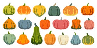 De pictogrammen vectorreeks van de pompoen eenvoudige vlakke kleur vector illustratie De pictogrammen vectorreeks van de pompoen eenvoudige vlakke kleur vector illustratie