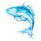 De plons van het water, vissen royalty-vrije stock afbeeldingen De plons van het water, vissen royalty-vrije stock afbeeldingen