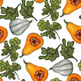 De pompoenen van de de herfstoogst Vectorillustratie op een witte die achtergrond in een realistische stijl wordt uitgevoerd vector illustratie De pompoenen van de de herfstoogst Vectorillustratie op een witte die achtergrond in een realistische stijl wordt uitgevoerd vector illustratie