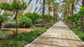 De promenade Spanien Valencia van de palmenzomer royalty-vrije stock foto De promenade Spanien Valencia van de palmenzomer royalty-vrije stock foto