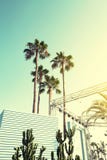 De Reis Stedelijk Concept van de de zomervakantie Mooie Palmen op Stedelijke B stock fotografie De Reis Stedelijk Concept van de de zomervakantie Mooie Palmen op Stedelijke B stock fotografie