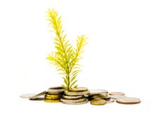 De rijkdom groeit royalty-vrije stock afbeeldingen De rijkdom groeit royalty-vrije stock afbeeldingen