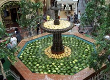 De rijpe vruchten van watermeloen en meloen liggen in de fontein van complex winkelen royalty-vrije stock afbeeldingen De rijpe vruchten van watermeloen en meloen liggen in de fontein van complex winkelen royalty-vrije stock afbeeldingen