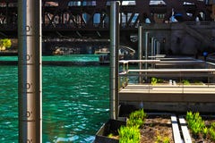 De Rivier van Chicago met metingspolen, de drijvende bedden van de ecosysteemtuin, en visserijpijlers langs riverwalk stock fotografie De Rivier van Chicago met metingspolen, de drijvende bedden van de ecosysteemtuin, en visserijpijlers langs riverwalk stock fotografie