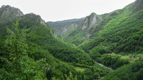 De rivierstromen tussen de bergen behandelden met groen montenegro stock afbeelding De rivierstromen tussen de bergen behandelden met groen montenegro stock afbeelding