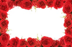 De Rode Frame Rozen van de valentijnskaart of van de Verjaardag stock afbeeldingen De Rode Frame Rozen van de valentijnskaart of van de Verjaardag stock afbeeldingen