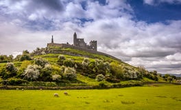 De Rots van Cashel, Ierland stock fotografie De Rots van Cashel, Ierland stock fotografie