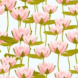 De roze waterlelielotusbloem bloeit naadloos patroon stock illustratie De roze waterlelielotusbloem bloeit naadloos patroon stock illustratie