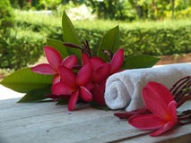 De ruimte van de kuuroordmassage heet toeristen welkom stock afbeeldingen De ruimte van de kuuroordmassage heet toeristen welkom stock afbeeldingen