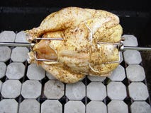 De RUWE Vogel van de Werf stock afbeeldingen De RUWE Vogel van de Werf stock afbeeldingen