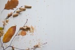 De samenstelling van de herfst De vaas met droog doorbladert, appel en kaarsen bij het ontslaan Patroon van droge bladeren, berkt royalty-vrije stock afbeeldingen De samenstelling van de herfst De vaas met droog doorbladert, appel en kaarsen bij het ontslaan Patroon van droge bladeren, berkt royalty-vrije stock afbeeldingen