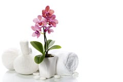 De samenstelling van het kuuroord met mooie roze orchidee stock afbeeldingen De samenstelling van het kuuroord met mooie roze orchidee stock afbeeldingen