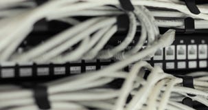 De schakelaar van het Gigabit ethernet netwerk met kat 5, 5e, 6 herstelt kabel in schakelaar in datacenter De schakelaar van het Gigabit ethernet netwerk met kat 5, 5e, 6 herstelt kabel in schakelaar in datacenter