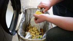 De schilaardappels van mensenhanden het knippen van daling in afvalbak stock footage De schilaardappels van mensenhanden het knippen van daling in afvalbak stock footage