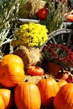 De Scène van de herfst stock afbeeldingen De Scène van de herfst stock afbeeldingen