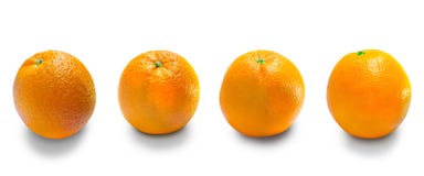 De sinaasappelen is het fruit van de citrusvrucht Stock Foto De sinaasappelen is het fruit van de citrusvrucht Stock Foto